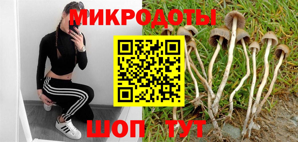 Галлюциногенные грибы прущие грибы Шелехов